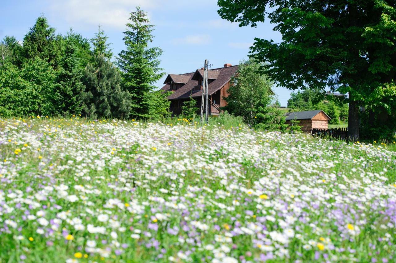 Kocurzonka Apartamenty Jaworzynka Exteriér fotografie